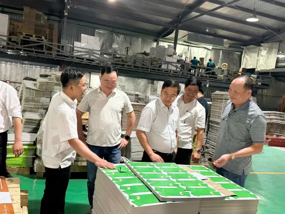 THÀNH CÔNG BÌNH ĐỊNH – ĐƠN VỊ SẢN XUẤT HỘP BÁNH ÍT LÁ GAI CHUYÊN NGHIỆP, UY TÍN TẠI BÌNH ĐỊNH