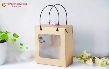 Mẫu Túi Giấy 7